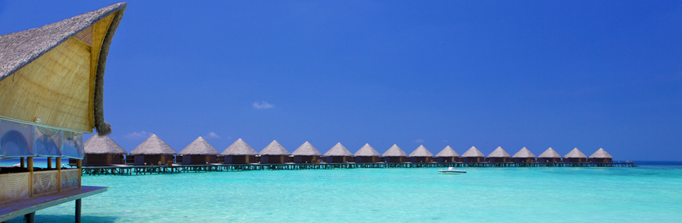 celebrity lifestyle agency